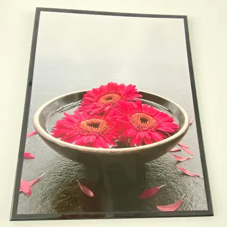 Desirade 2 Plage Dunkerque Malo Les Bains * Dunkirk